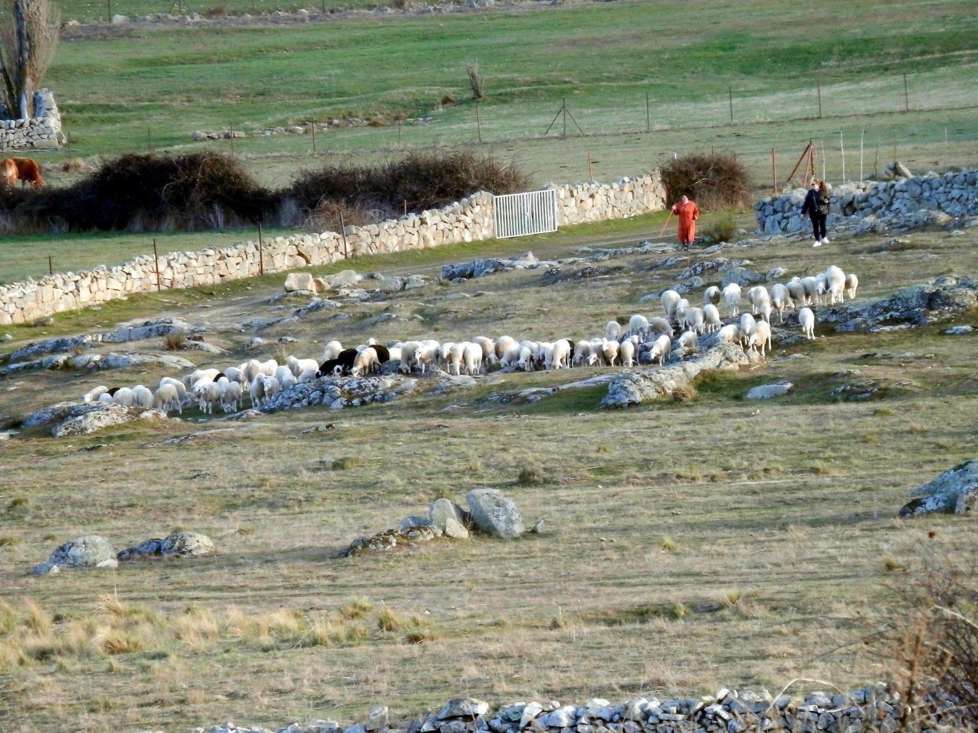 Casa Rural El Dolmen Bernuy-Salinero Luaran gambar